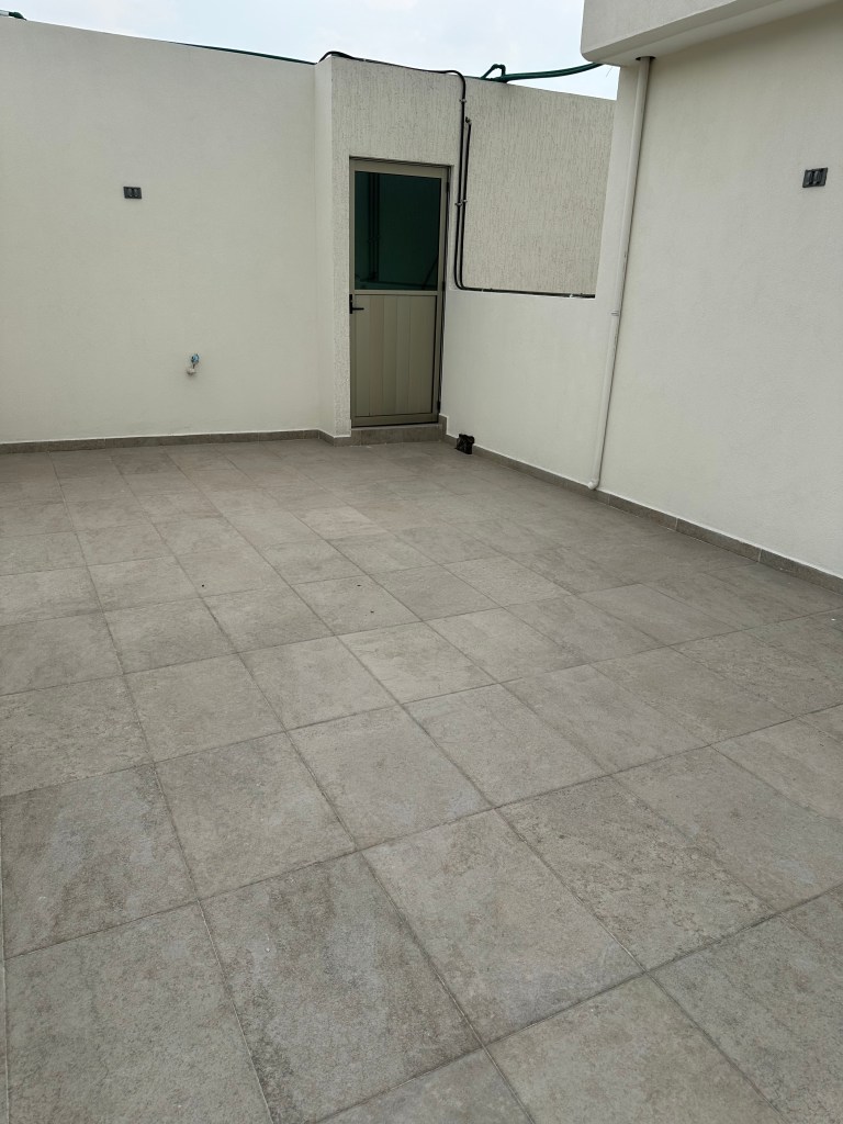 DEPTO 2. roof garden